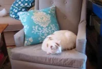 Secondhand Armchair Makeover: Upholstery and Painted Legs