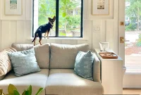 Spotlight on Penny Petersik