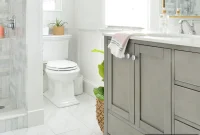 Our Absolute Best Toilet