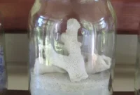 DIY Memory Jars: Cherish Your Travel Adventures