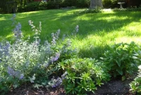 Beyond the Bricks: Creative Landscaping for Paver Patios