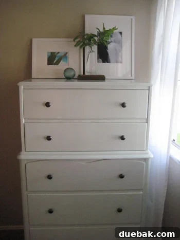 featured 11014