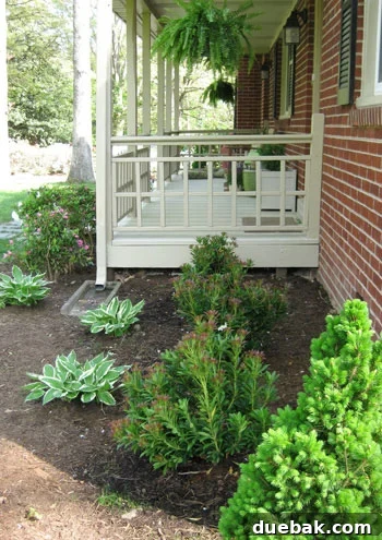 featured 11226