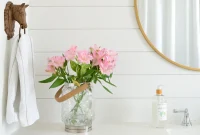 Sherwin Williams Extra White SW 7006: Is This Your Ideal White Paint