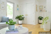 Effortless Indoor Greenery for Low Light