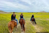 South Dakota Summer Odyssey