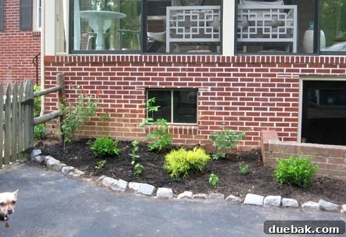 featured 11559