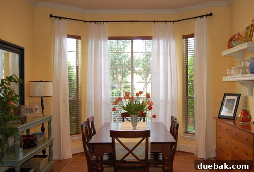 featured 11781
