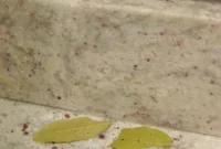 Simple Home Remedies For Ant Infestations