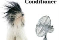 Smart Ways to Cool Your Home Without AC