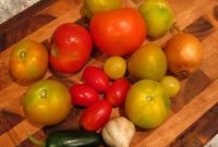 Homemade Salsa Crafting Kit