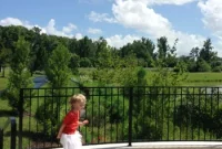 Our Fourth of July Fun