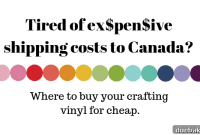 Your Guide to Craft Vinyl in Canada