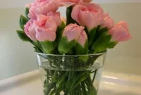Blushing Budget Blooms