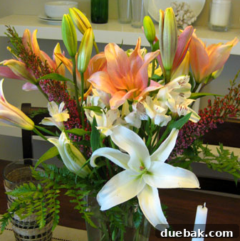 featured 24682