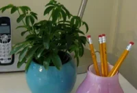 Frugal Foliage: Spring’s Green Revival