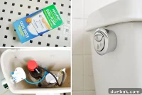 Upgrade Your Toilet with a Dual-Flush Kit