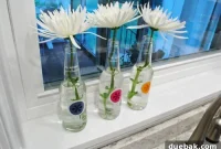 Transforming Izze Bottles into Stylish Vases
