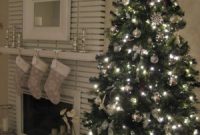 The Festive Evergreen