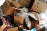 A Sea of Cardboard