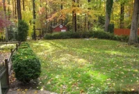Score Free Landscaping Through Craigslist