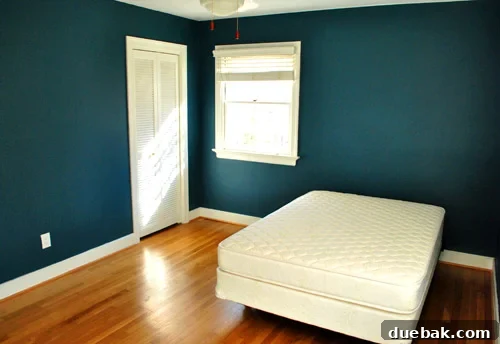 featured 33364
