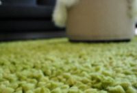 Plush Emerald Shag: Living Room’s Green Oasis