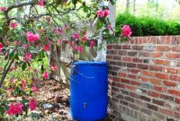 Easy Rain Barrel Setup
