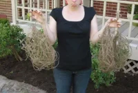 When DIY Bites Back