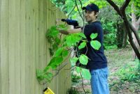 Crafting Your Perfect Property Border