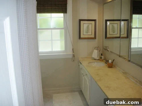 featured 3727