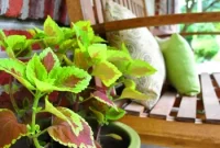 Quick Porch Makeovers That Boost Curb Appeal