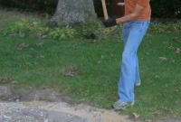 Home Demo Day: Taking Down Chair Molding and Tearing Up a Slate Path