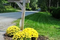 Curb Appeal Mailbox Makeover