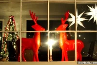Our Dazzling Outdoor Christmas Display