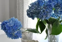 Repurposing Curtain Panels