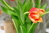 Craft Your Own Tulip Arrangement