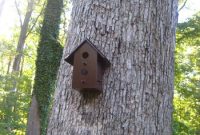 Birdhouse Decorating and Installation