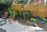 Cultivating Perfect Blue Hydrangeas