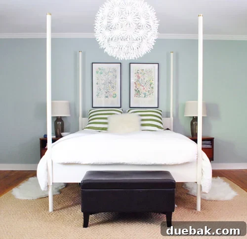 featured 46810