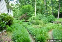 Backyard Refresh and Garden Reveal