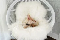 Revitalize Your Egg Chair with a DIY Paint Makeover