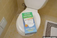Elevate Your Toilet: Dual Flush Button Installation
