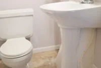 Day Two: Our Grand Bathroom Transformation for Granny