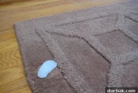 Erase Furniture Dents From Your Rug