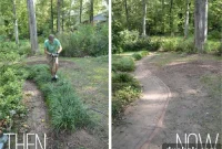 A Measured Landscape Makeover
