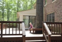 Giant Tree Threatening Home