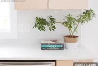 Golden Glow: A Contemporary Blonde Wood Kitchen