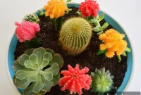 Ceramic Painting Unlocked Your Artistic Guide