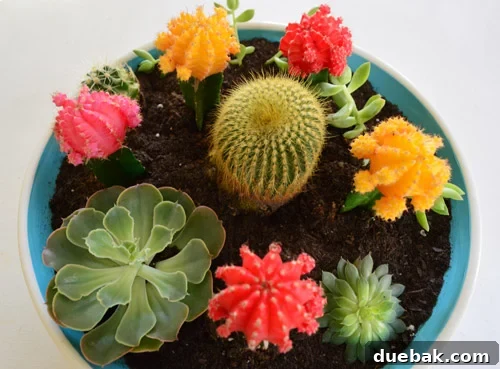 featured 61929
